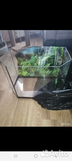 Аквариум