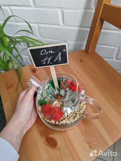 Флорариум, суккуленты, цветы