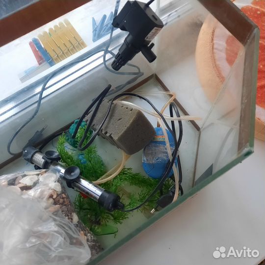 Аквариум и все необходимые к нему принадлежности