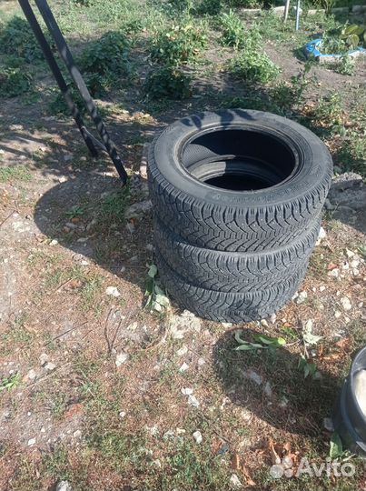 Douglas Performance 195/65 R15 100S
