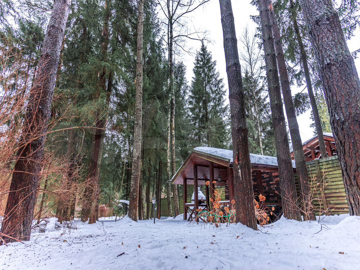 Коттедж 245 м² на участке 32 сот.