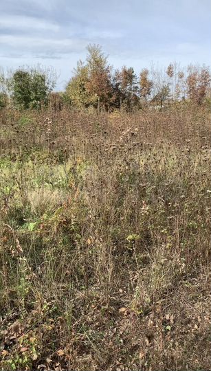 Участок 14,1 сот. (ИЖС)