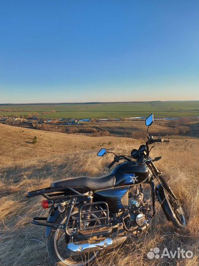 Alpha shuriken evolution 110