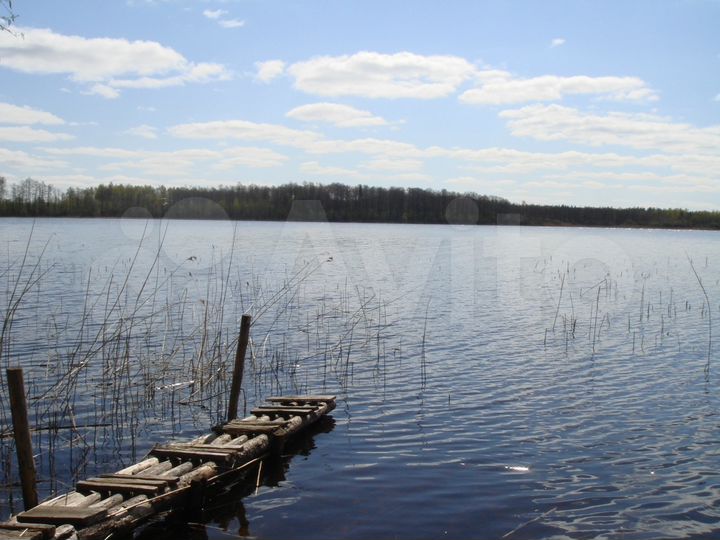 Участок 4,46 га (СНТ, ДНП)