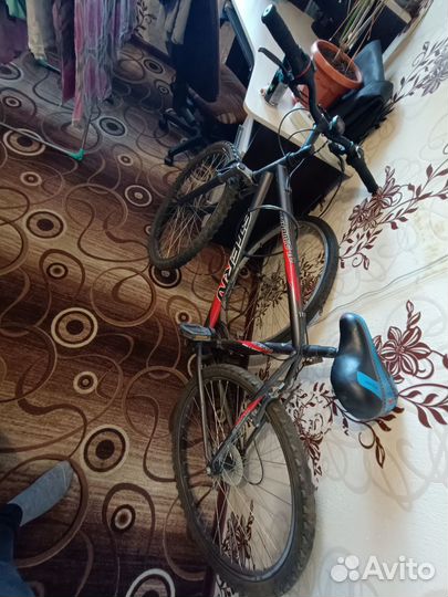 Велосипед stern