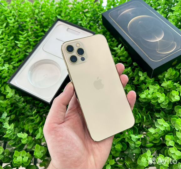 iPhone 12 Pro, 128 ГБ