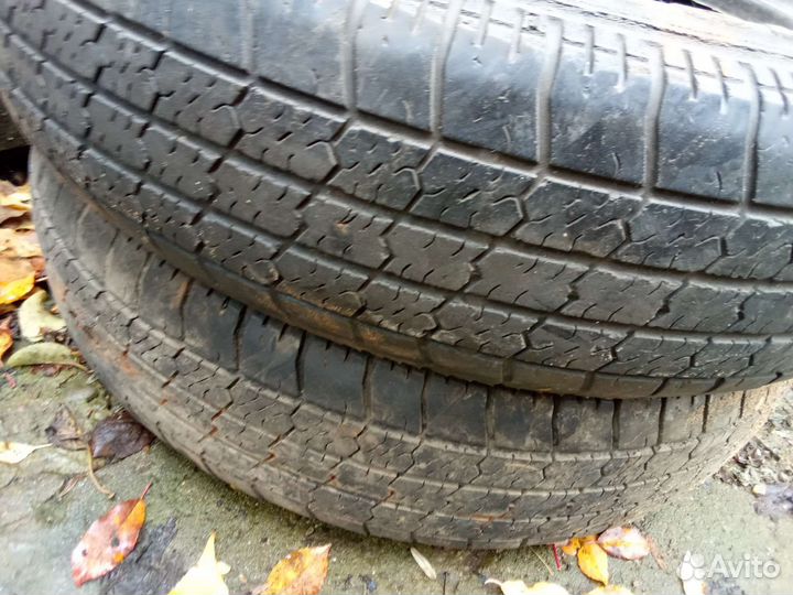 Accelera Beta 5/5 R5 19