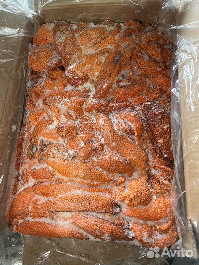 Икра форели в ястыках Свежемороженая