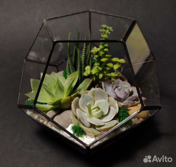 Флорариум с суккулентами