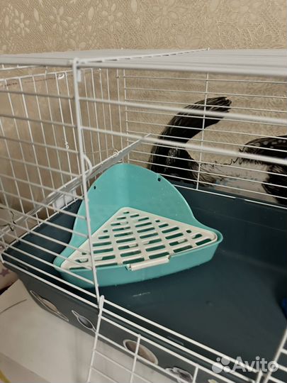 Клетка для декоративного кролика