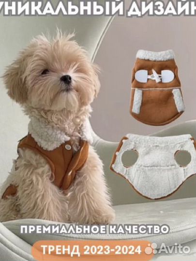Одежда для собак