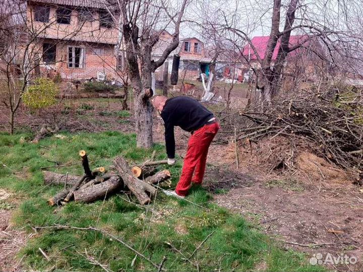 Благоустройство участков