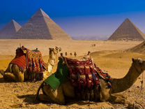Турпоездка Египет 11 нч все включено