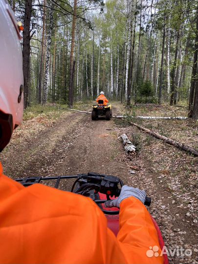 Прокат квадроциклов