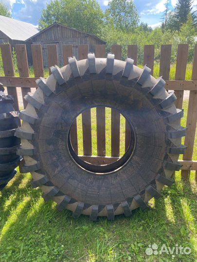 Ободрыши ураган