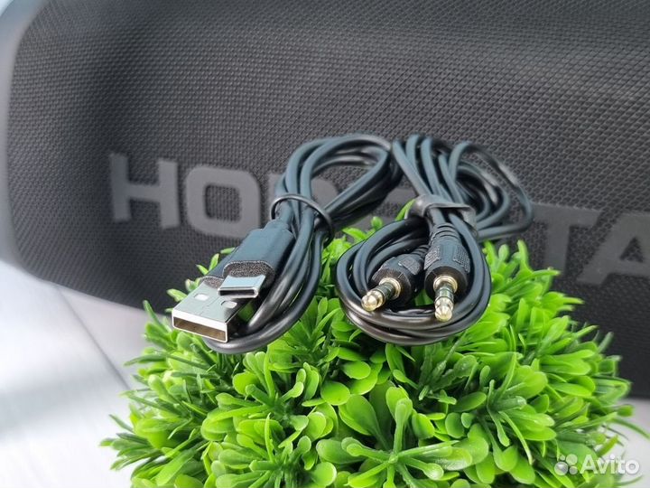 Колонка Hopestar A40