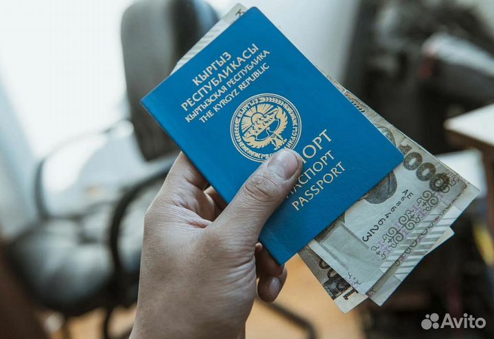 Помощь в получении гражданства Киргизии