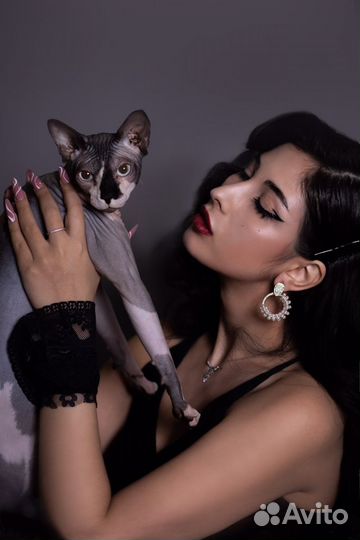 Модель Ессентуки кмв