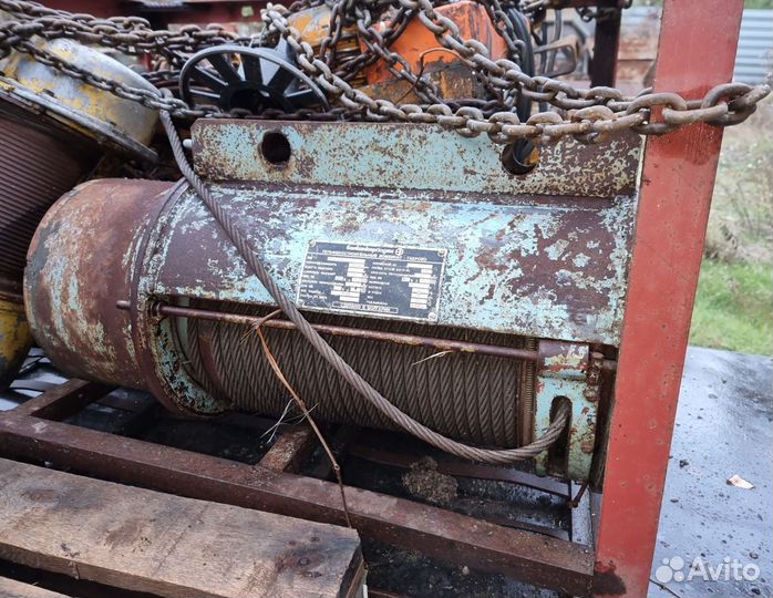 Тельфер болгарский