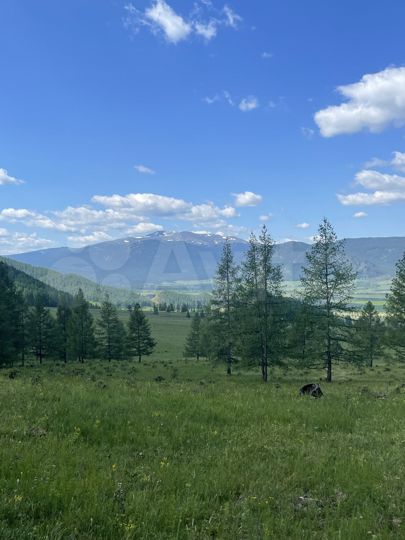 Участок 24 га (СНТ, ДНП)