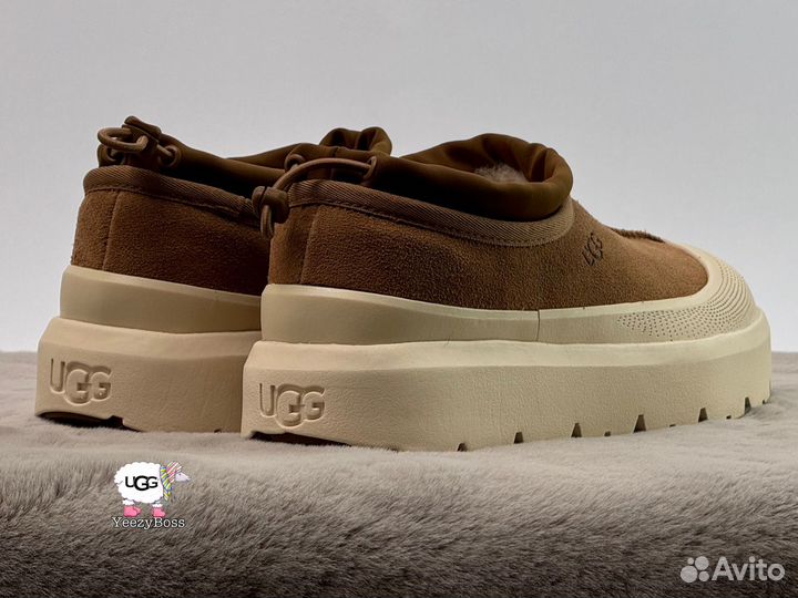 Кроссовки зимние женские Ugg Tasman Hybrid