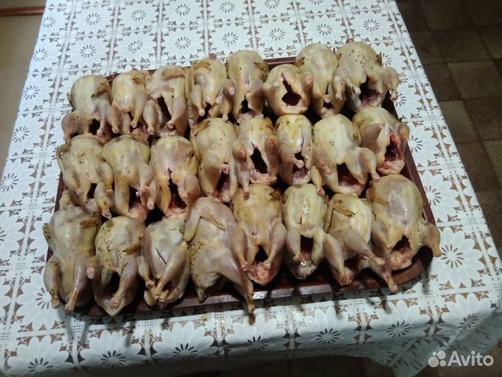 Мясо перепелов