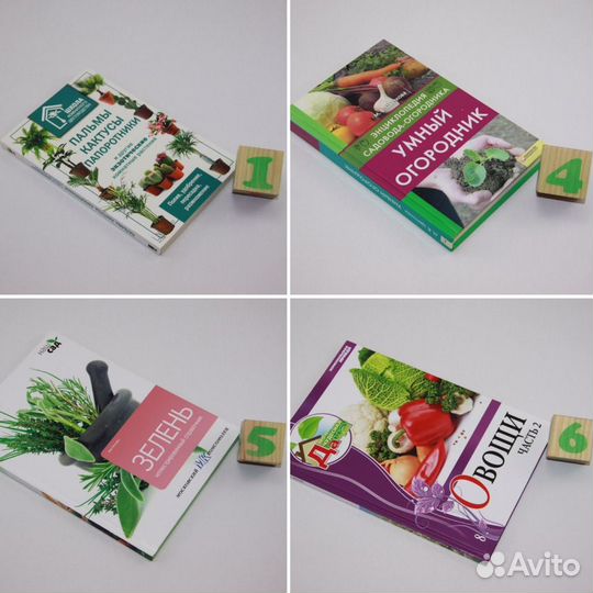 Пальмы, кактусы,папоротники