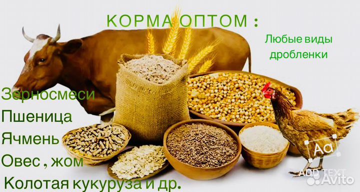 Корма для с/х животных