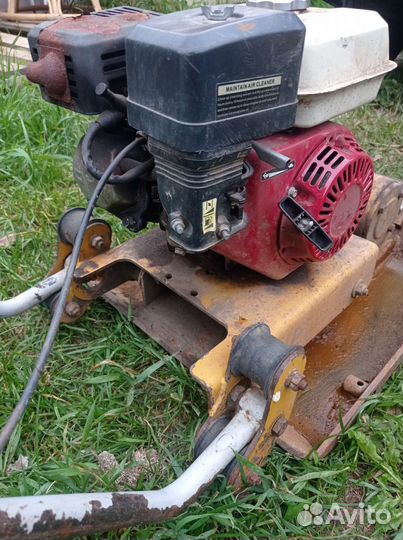 Виброплита в аренду