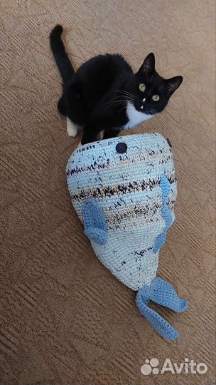 Домик для кота