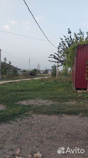 Покос травы триммером