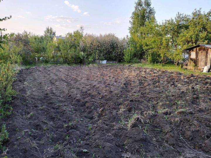 Участок 6,5 сот. (СНТ, ДНП)