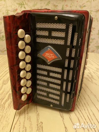 Гармонь Теза Шуя