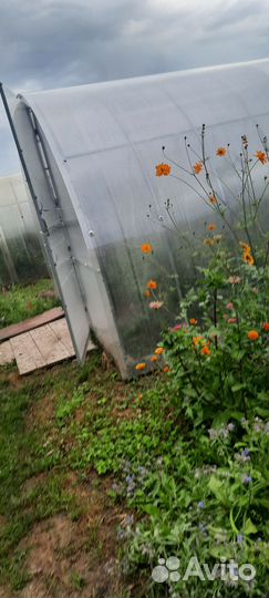 Поликарбонат