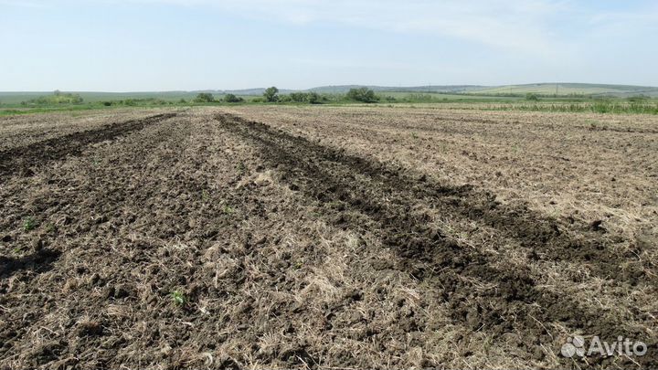 Глубокорыхлитель Агроспецмаш РАМ 5Г-01, 2023