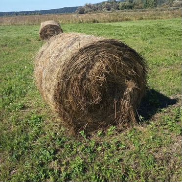 Продам сено в тюках