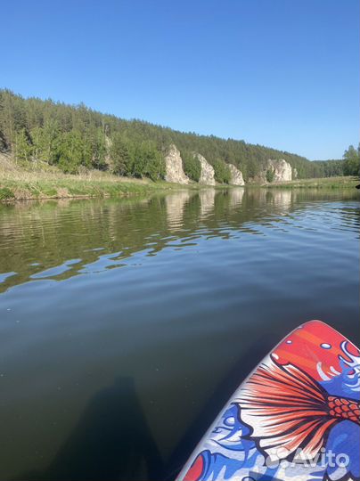 Сапборд аренда/ аренда supboard/ прокат сап борда