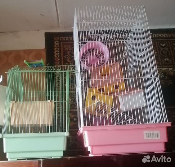 Клетка