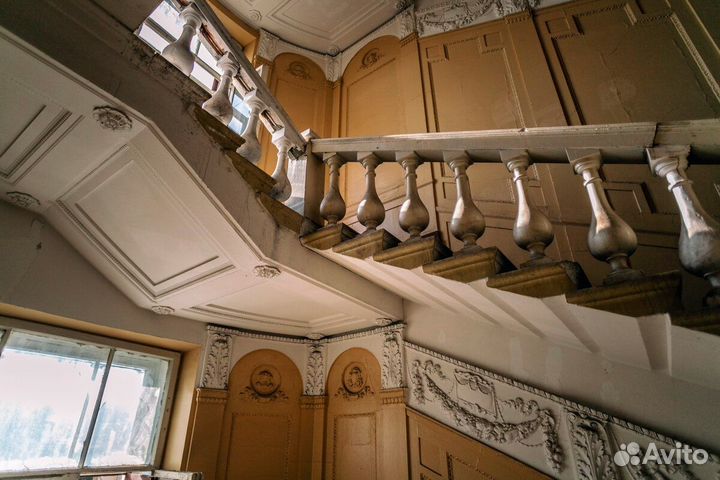 Лабиринты Петроградской