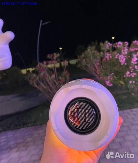 Колонка JBL Pulse 4 (Арт.99873)