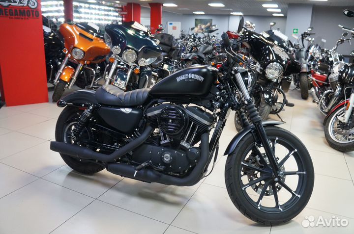 Harley-Davidson Sportster 883, 2021