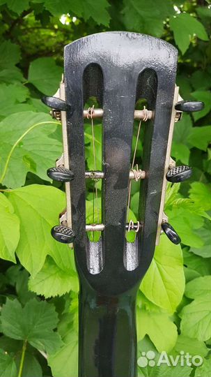 Гитара напрокат и на продажу