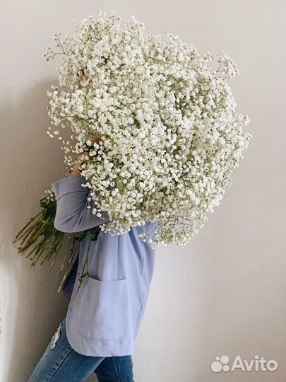 Гипсофила в оформлении