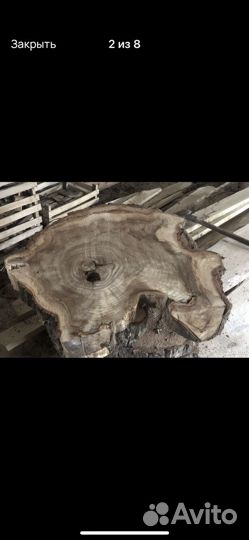 Слэб из тополя