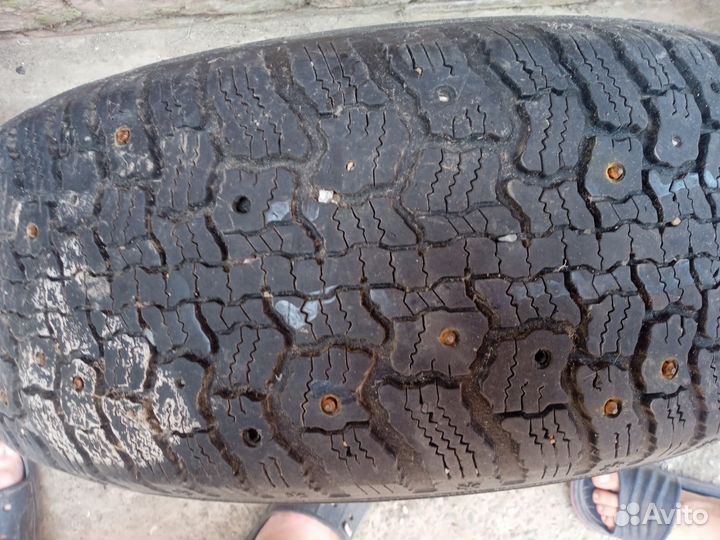 Gislaved Nord Frost II 195/65 R14