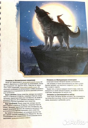 Dnd Книга игрока 2024г D&D