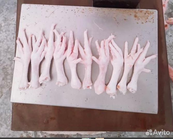 Куринные лапы оптом