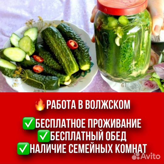 Упаковщик овощей. Работа в Волжском