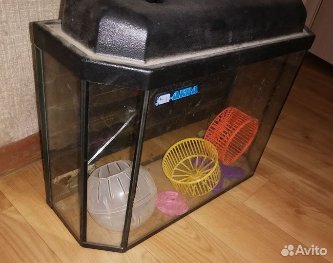 Аквариум с игрушками для хомяка