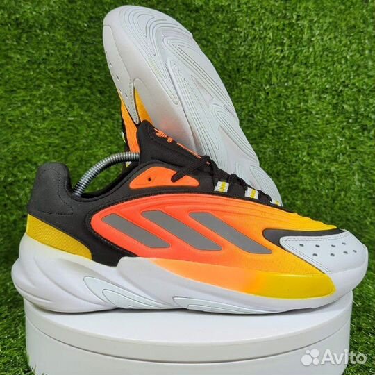 Кроссовки Adidas OZelia